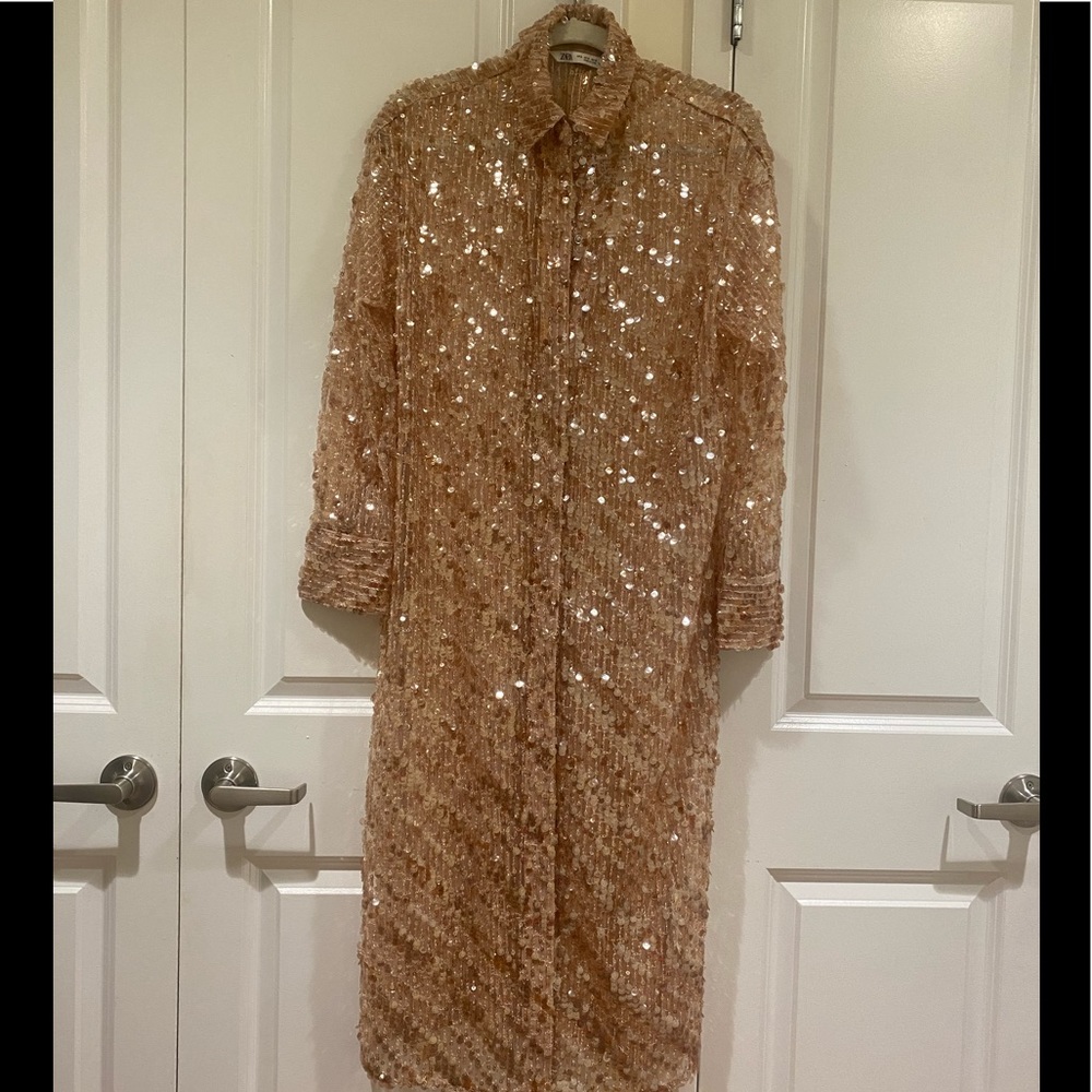 Zara sequin top